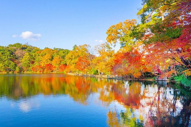 秋の絶景スポット